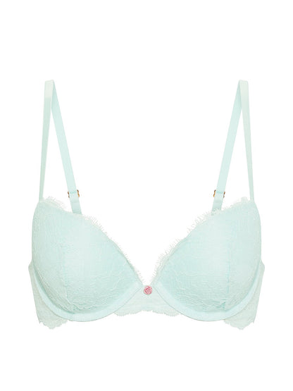 Elegant Eyelash Lace Plunge Bra